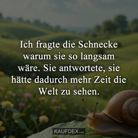 Ich fragte die Schnecke warum sie so langsam wäre…