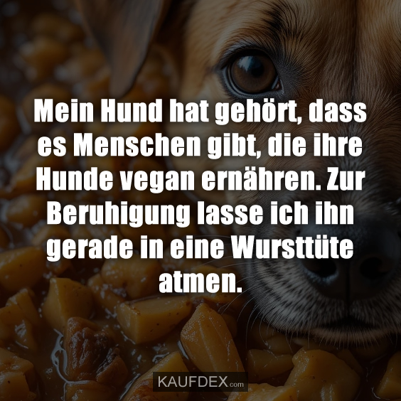 Mein Hund hat gehört, dass es Menschen gibt…