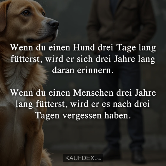 Wenn du einen Hund drei Tage lang fütterst…