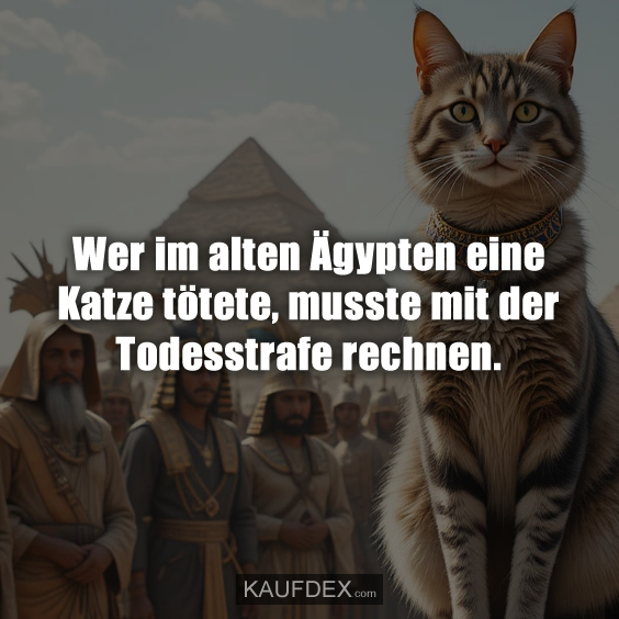 Wer im alten Ägypten eine Katze tötete…