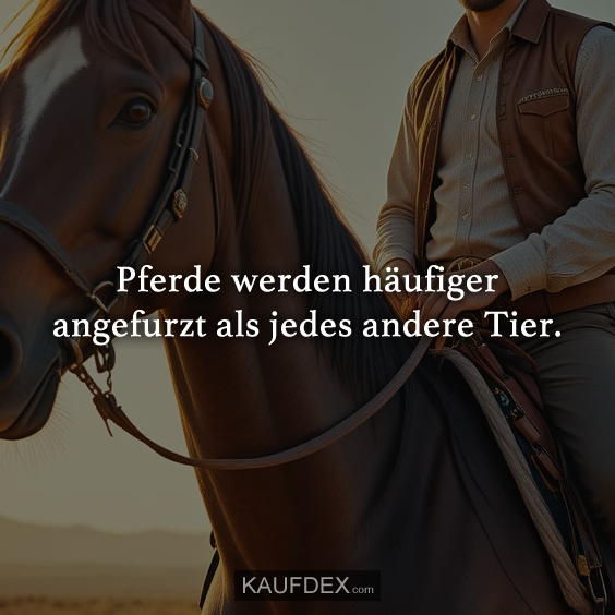 Pferde werden häufiger angefurzt…
