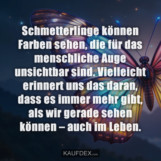 Schmetterlinge können Farben sehen…